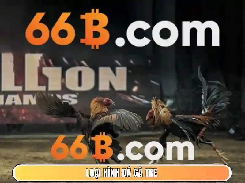 Đăng xuất 66b: hành trình thương hiệu và trải nghiệm